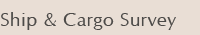 Ship & Cargo Survey